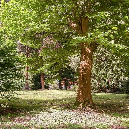 Apartment Haus Wildstein.1 *